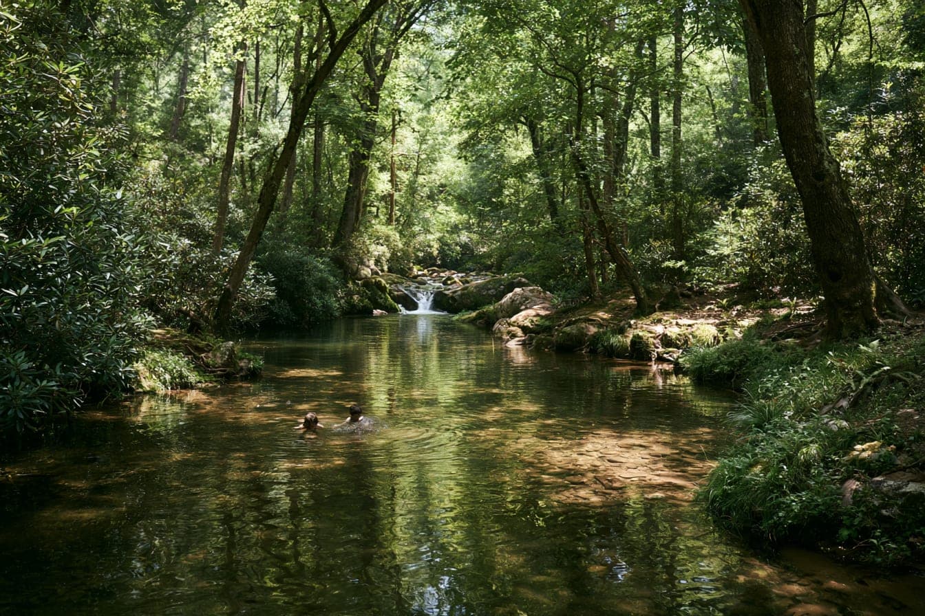 Kids skipping stones in a clear creek pool beneath the canopy, a small waterfall upstream