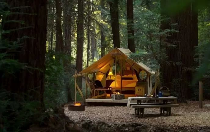 A lantern-lit tent and campfire in the pines after dark